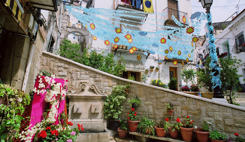 Alicante Cruces de Mayo