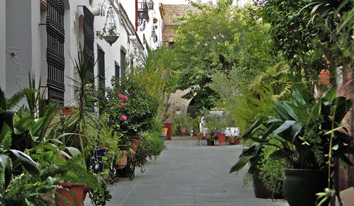 Seville Small Street