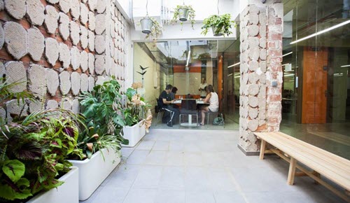 Proyecto Espanol Patio